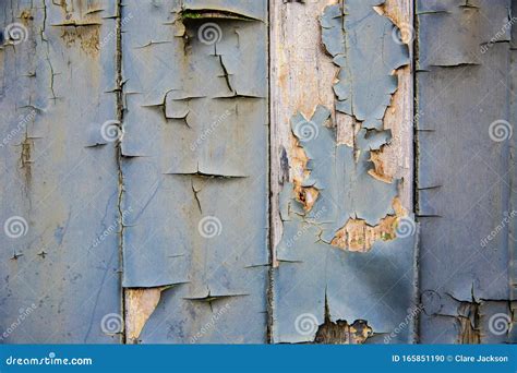 Decaying Planks Of Wood With Blue Peeling Paint Stock Photo Image Of