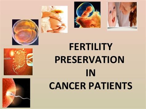 fertility preservation in cancer