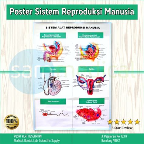 Harga Buku Kesehatan Reproduksi Remaja-Poster Kesehatan Alat Reproduksi Download Poster