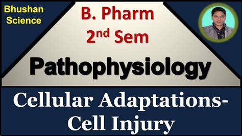 4 Cellular Adaptations Cell Injury Pathophysiology B Pharm 2nd