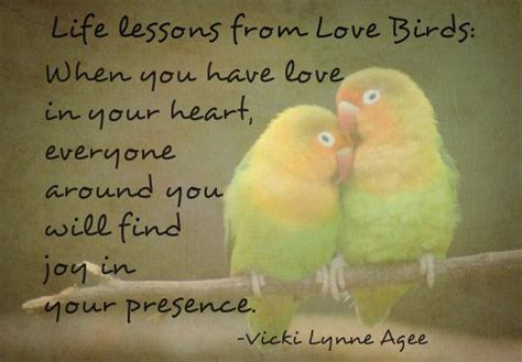 Quotes About Love Birds Word Of Wisdom Mania