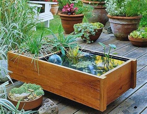 14 Container Water Garden Ideas To Consider Sharonsable