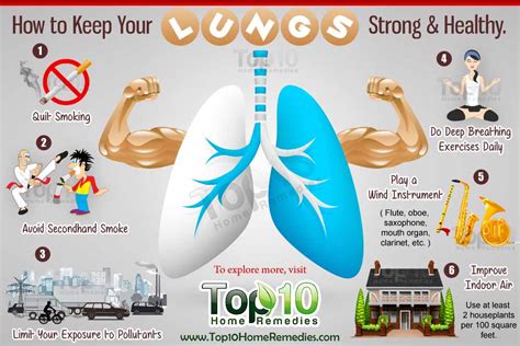 Water not only helps the body to flush out toxins, but it also helps to hydrate the skin from the inside out, giving you a fresh look. How to Keep Your Lungs Strong and Healthy | Top 10 Home ...