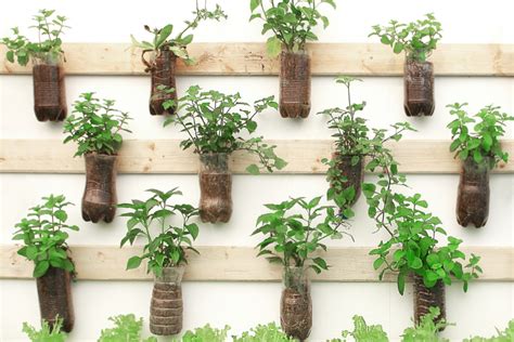 The Best Way To Diy Your Own Wall Hanging Herb Garden Happysprout