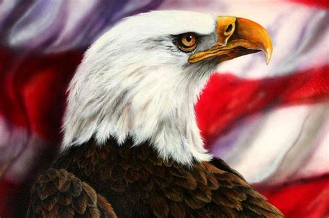 Best Pictures Artwork Animated American Flag Clip Art