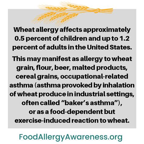 Food Allergy And Anaphylaxis Food Allergens Wheat