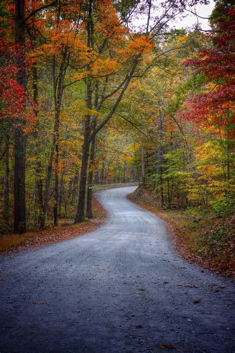 Pin By Evelyn Thiele On Only In Blue Ridge Blue Ridge Autumn Scenery