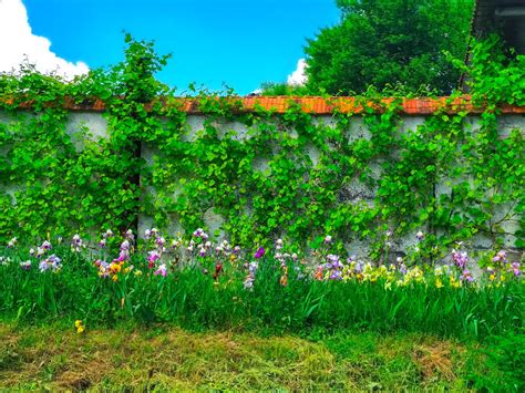 33 Garden Wall Ideas To Turn Your Garden Wall Into Art
