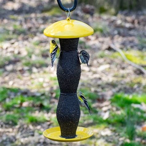 Perky Pet Finch Yellow Metal Hanging Squirrel Resistant Tube Bird