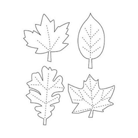 Four Different Leaf Shapes On A White Background