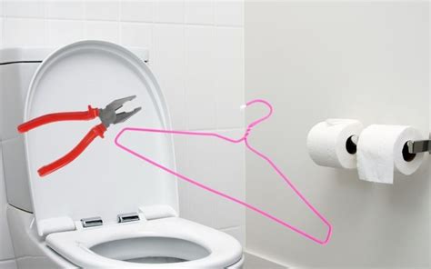 How To Unclog A Toilet With Poop In It House Lovely Home