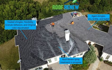 Regular And Preventative Maintenance Contracts By Roof Renew In Ashland