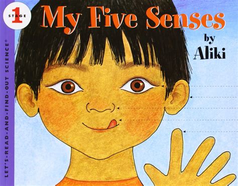 Five Sense Books For Kids The Crafting Chicks