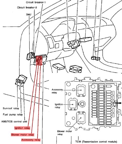 Maxima Fuel Pump Wiring Diagram