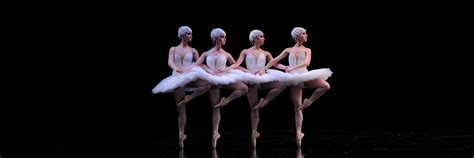 Your Ultimate Guide To Swan Lake San Francisco Ballet