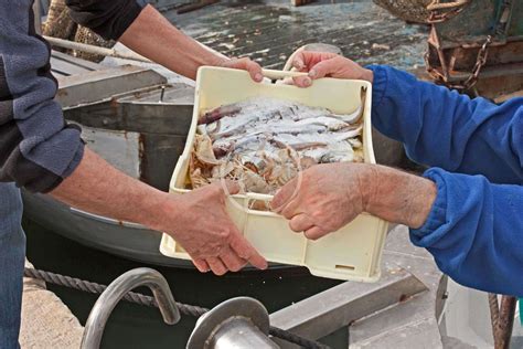 Seafood Industry - Sea Breeze Fish Market