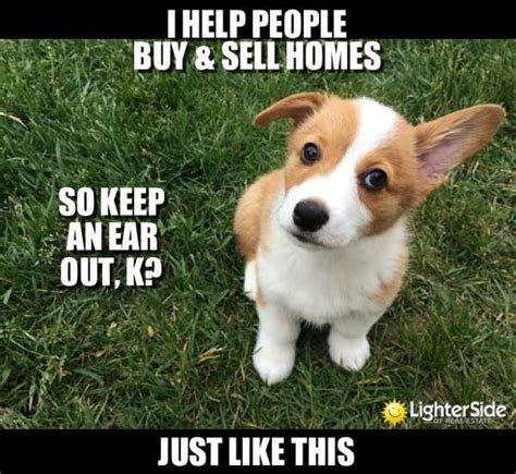 Top 21 Real Estate Memes To Generate Laughs And Leads