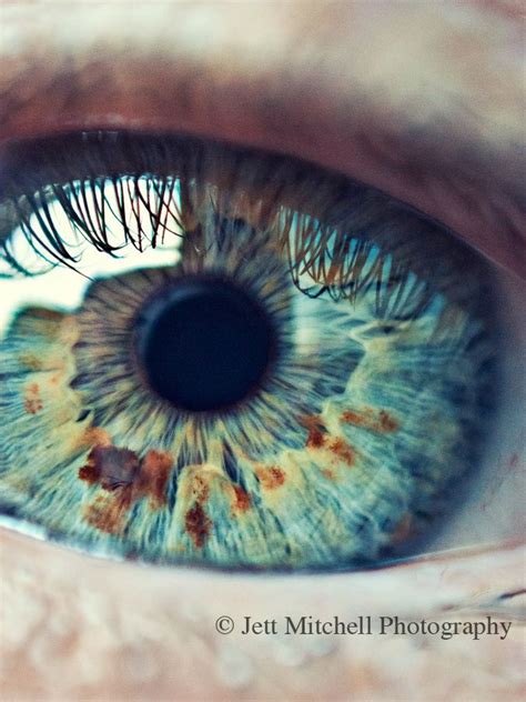 34 Best Rare Eye Colors Images On Pinterest Gorgeous Eyes Beautiful