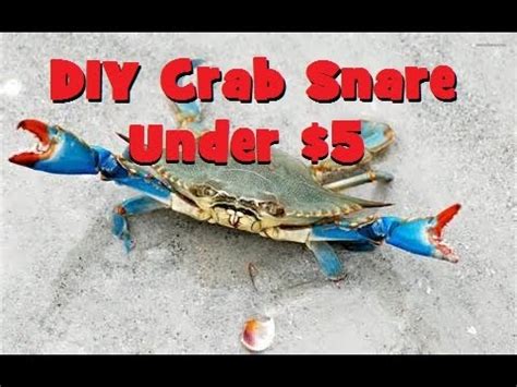 We designed a few crab snares using just our fishing lines and hooks. How to make a crab pot Pt. 2 | Doovi