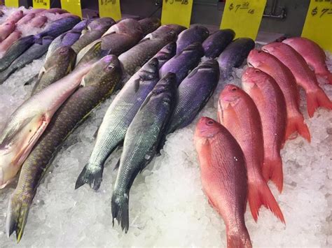 I really like this place it has everything that we need from fish market, meat market, fruits, vegetables, bakery, food court, fruit juice bar etc. Kam Man Market East Hanover Seafoods | Fresh seafood, East ...