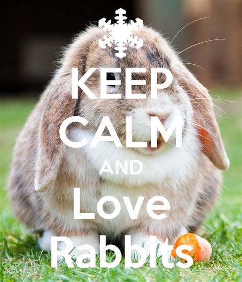 Keep Calm And Love Rabbits Keep Calm Posters Keep Calm Quotes Keep