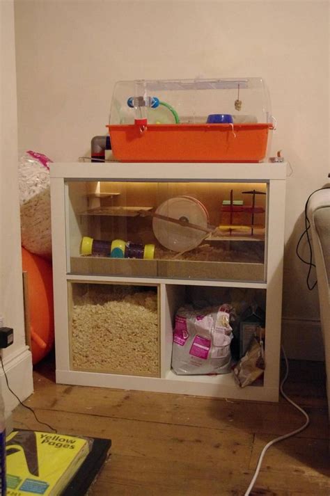 I M Not Positive But I Think I Set Up My Hedgehog S Cage Appropriately