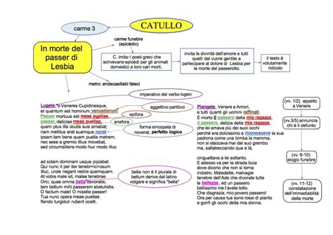 Mappa Concettuale Latino 14 Catullo Carme 3 DSA Study Maps