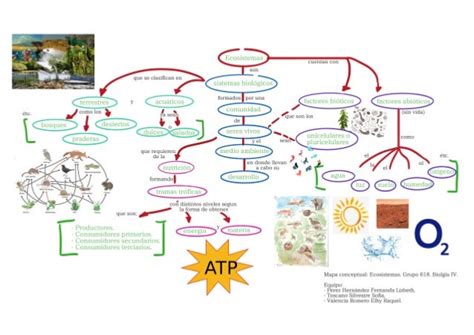 Mapa Conceptual Ecosistemas