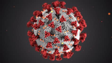 Het kabinet kondigde afgelopen donderdag nieuwe. Maatregelen coronavirus (COVID-19) - Ekkelenkamp Ommen