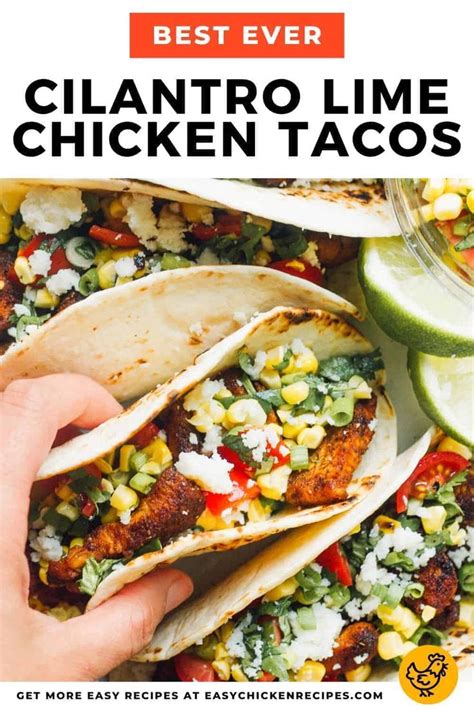 Marinated Cilantro Lime Chicken Tacos Are A Unique And Tasty Taco