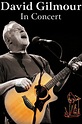 David Gilmour in Concert Pictures - Rotten Tomatoes