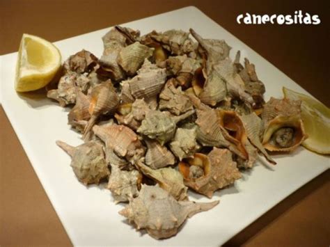 Rara vez se encuentran arriba del nivel de el caracol terrestre forma parte de la cocina mediterránea, especialmente la española y francesa, como uno de los manjares más exquisitos. Caracoles de mar (Fussion Cook) - Recetariocanecositas