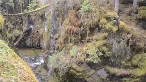 Sawmill Creek Falls Berners Bay North Of Juneau Youtube