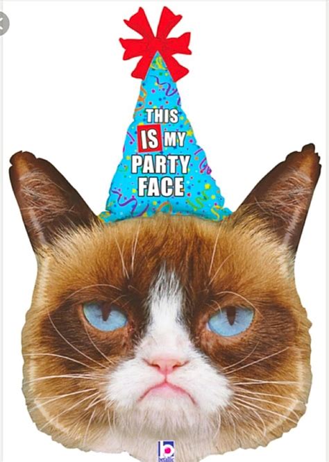 Pin By Bridgette Kearns On Angry Cat Grumpy Cat Birthday Cat Party Cat Balloons