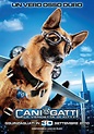 Cani e gatti - La vendetta di Kitty (2010) scheda film - Stardust