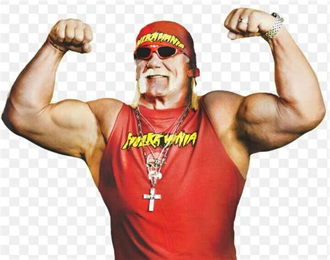 It was going to be explained in the film that he hanged himself (incompetently and very painfully), due to heartbreak. The Top Five Greatest baby faces in WWE | Wrestling Amino