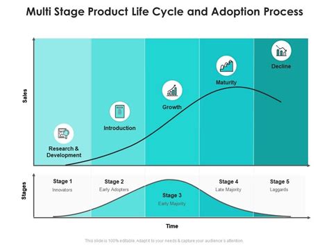 Multi Stage Product Life Cycle And Adoption Process Presentation Graphics Presentation