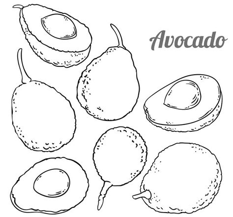 Coloring Picture Of Avocado Coloring Pages