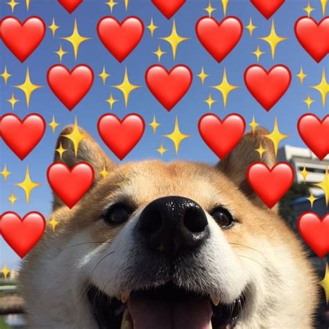 I Found A Photo Of A Cute Doggo And I Put Some Hearts On It Cute Right