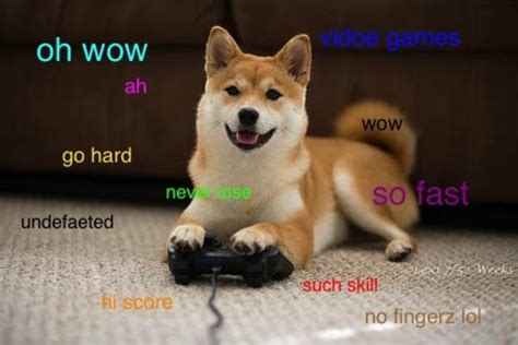 Image 582331 Doge Know Your Meme