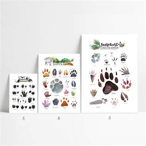 Woodland Animal Footprints Art Print Etsy