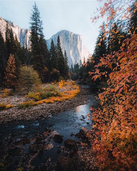 Fall Colors Along The River Credits Dylankato Tag Thegreatplanet