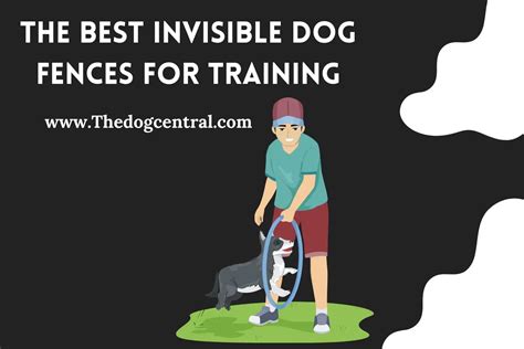 The Best Invisible Dog Fences For Training Detailed Explanation
