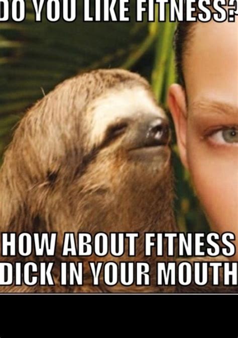 Funny Sloth Dirty Joke Sloth Pinterest Jokes Funny And Sloths