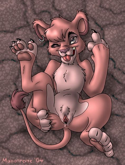 Rule 34 Anus Color Disney Feline Female Feral Furry