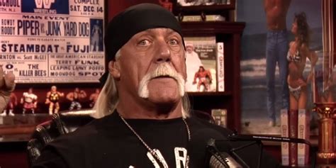 Hulk Hogan Fired From Wwe Over Racist Comments Read Them Here