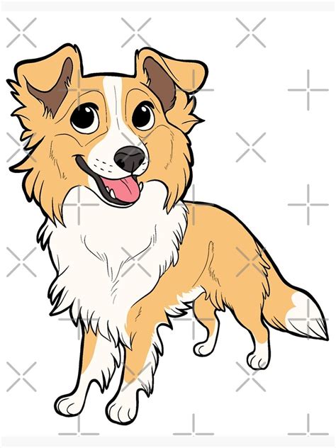 Border Collie Gold Chibi Photographic Print For Sale By