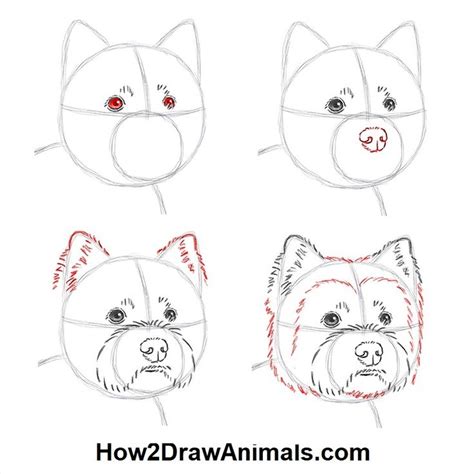 How To Draw A Westie Step By Step At How To Draw