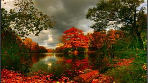 Autumn Pond Hd Wallpaper Background Image 1920x1080