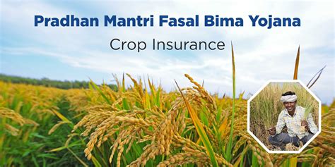 New india assurance operates both in india and foreign countries. Crop Insurance: Pradhan Mantri Fasal Bima Yojana | PMFBY | Royal Sundaram
